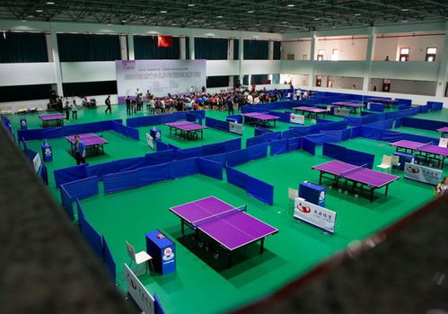 乒乓小將龍川競技 2021年江蘇省少兒乒乓球冠軍賽開幕，網絡競技球掀起新熱潮